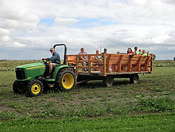 Wagon Ride